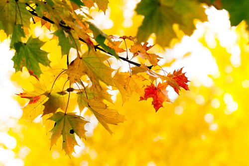 src=http___image.biaobaiju.com_uploads_20191102_16_1572682622-LghxYpSCME.jpg&refer=http___image.biaobaiju.jpg